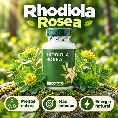 Floraviva Rhodiola Rosea | Recupera tu energía, combate el cansancio y afronta el día con más enfoque y menos estrés.